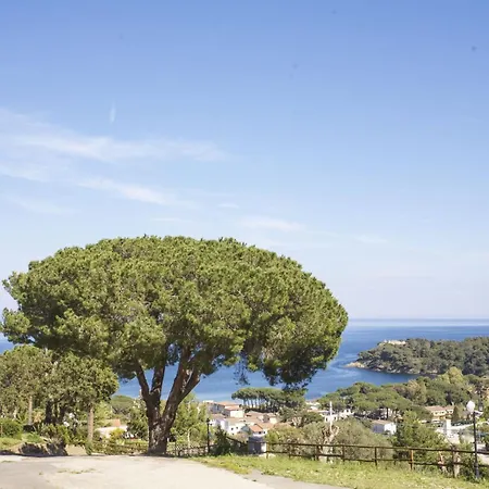 Appartement Blu - Elba Affitti